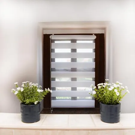 Dalmatian Stone House Apartman