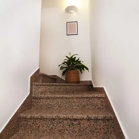 Apartment Dalmatian Stone House Zaton (Zadar)